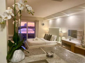 Modern waterfront apartment with Miami Skyline view, free parking 5 mins drive to Miami Beach
